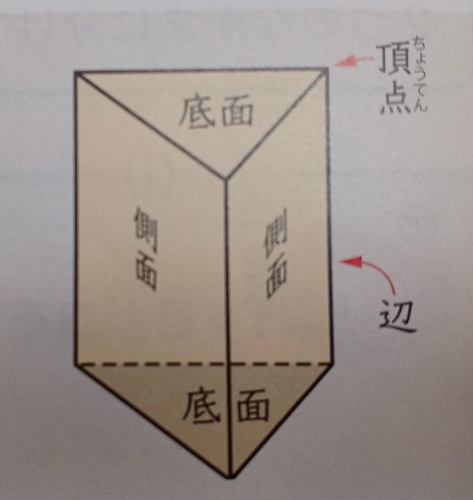 20230306_205744-rotated-